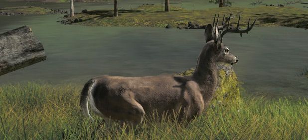 The Hunter 2012: Realistisches Jagen auf hchstem Niveau