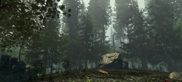 The Forest: Horrorwald mit Bastelflair