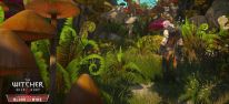The Witcher 3: Wild Hunt - Blood and Wine: Blood and Wine: Fnf Screenshots aus der farbenprchtigen Region Toussaint