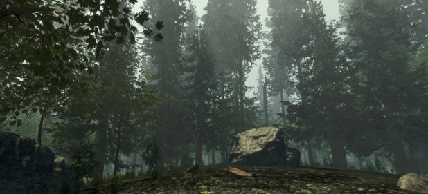 The Forest (Survival & Crafting) von Endnight Games