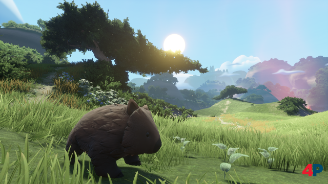 Diesen Wombat muss man einfach gern haben! Hier sehen wir den Racker an einer der hbschesten Stellen im Spiel
