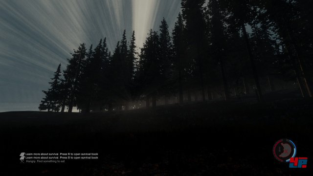 Screenshot - The Forest (PC) 92486554
