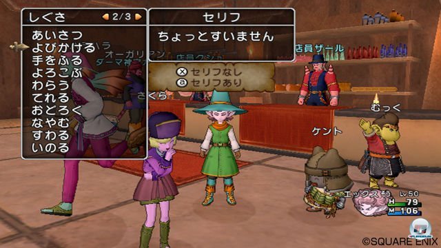 Screenshot - Dragon Quest X Online (Wii) 2273327