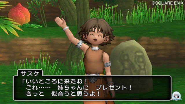 Screenshot - Dragon Quest X Online (Wii) 2303952