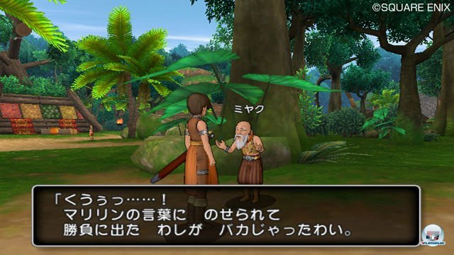 Screenshot - Dragon Quest X Online (Wii) 2303927