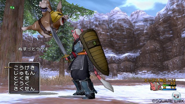 Screenshot - Dragon Quest X Online (Wii) 2321207