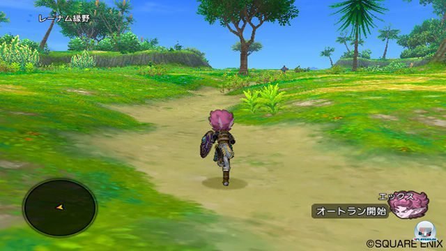 Screenshot - Dragon Quest X Online (Wii) 2280307