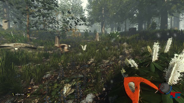 Screenshot - The Forest (PC) 92498541