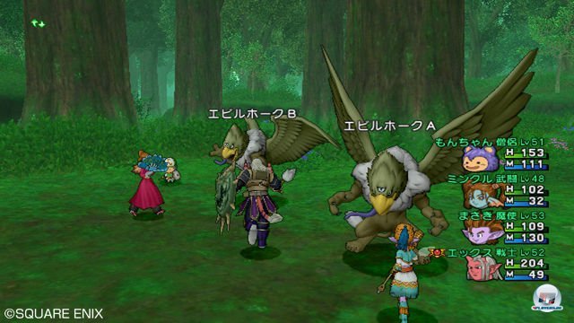 Screenshot - Dragon Quest X Online (Wii) 2303767