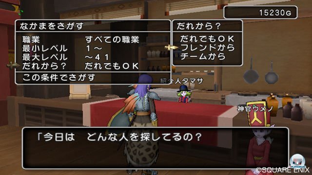 Screenshot - Dragon Quest X Online (Wii) 2303872