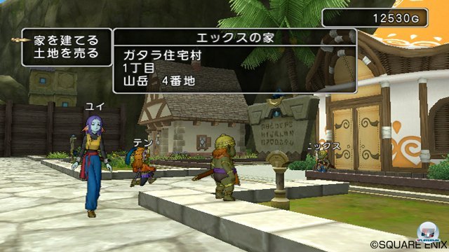 Screenshot - Dragon Quest X Online (Wii) 2273472