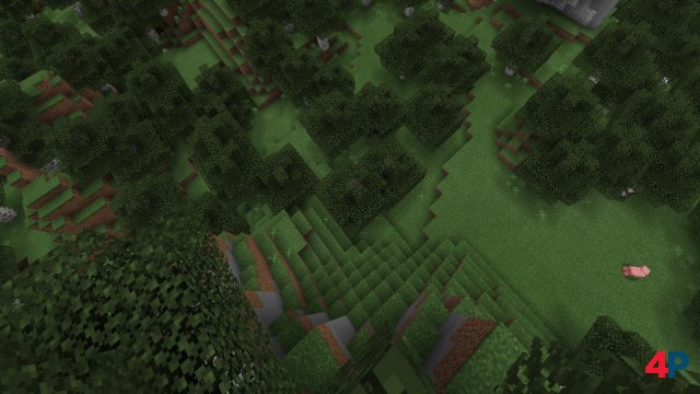 Screenshot - Minecraft (PlayStationVR)
