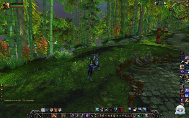 Screenshot - World of WarCraft: Mists of Pandaria (PC) 2334132
