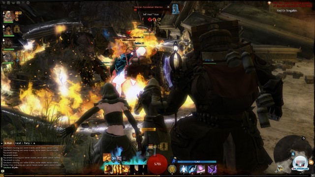 Screenshot - Guild Wars 2 (PC) 2236492