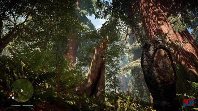 Screenshot - Far Cry Primal (PlayStation4)