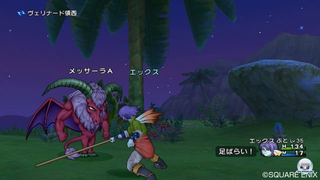 Screenshot - Dragon Quest X Online (Wii) 2292942