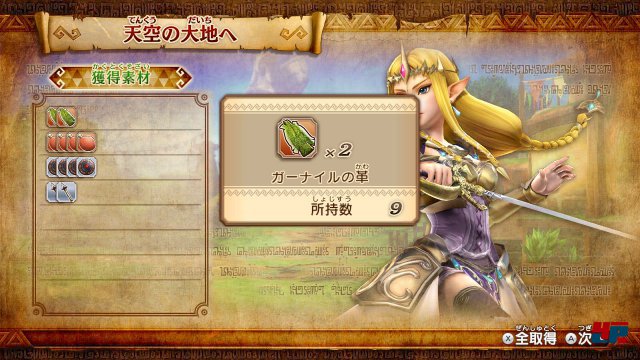 Screenshot - Hyrule Warriors (Wii_U) 92486422
