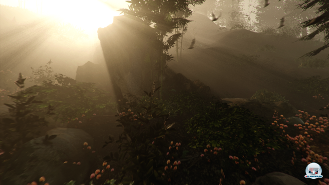 Screenshot - The Forest (PC) 92472302