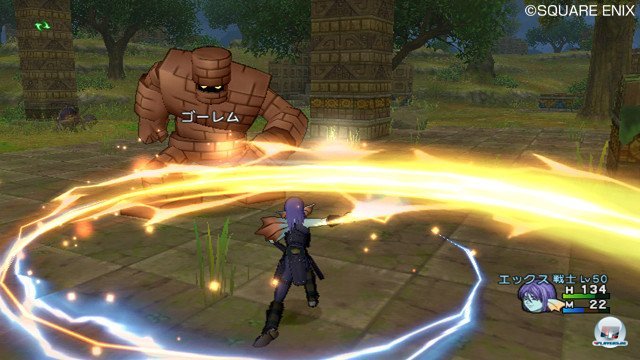 Screenshot - Dragon Quest X Online (Wii) 2370767