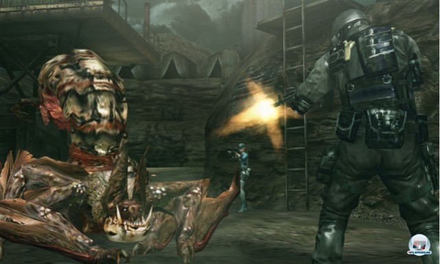 Screenshot - Resident Evil: The Mercenaries 3D (3DS) 2227452