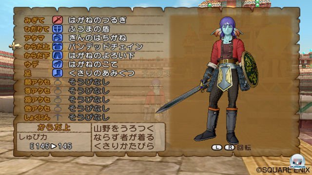 Screenshot - Dragon Quest X Online (Wii) 2289937