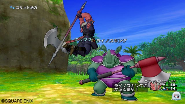 Screenshot - Dragon Quest X Online (Wii) 2289952