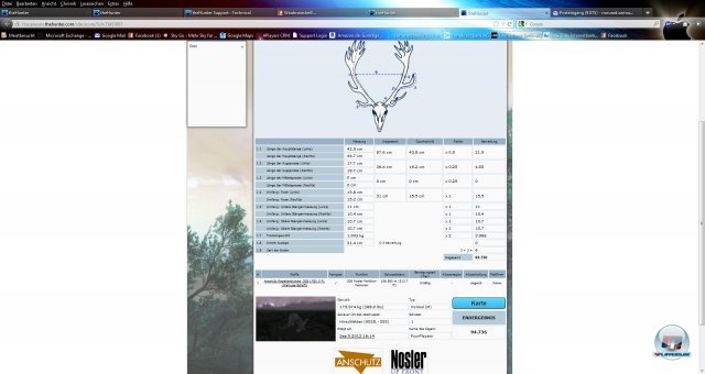 Screenshot - The Hunter 2013 - Deutsche Wlder  (PC)