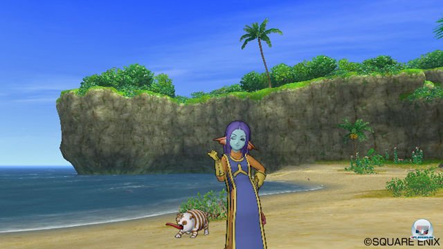 Screenshot - Dragon Quest X Online (Wii) 2289962