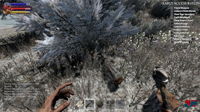 Screenshot - Savage Lands (PC) 92506509