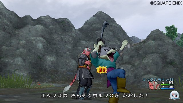 Screenshot - Dragon Quest X Online (Wii) 2321232