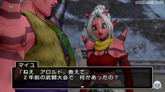 Screenshot - Dragon Quest X Online (Wii) 2335607