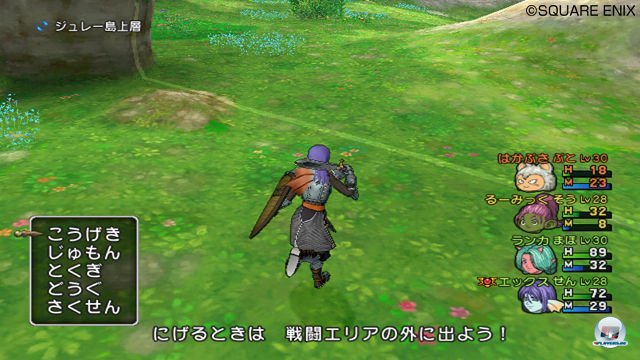 Screenshot - Dragon Quest X Online (Wii) 2287212