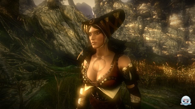 Screenshot - The Witcher 2: Assassin of Kings (PC) 2223033