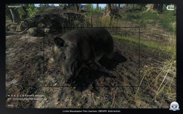 Screenshot - The Hunter 2012 (PC) 2275787