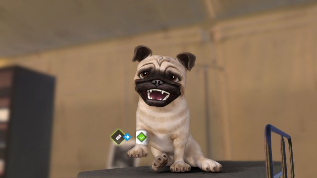 Screenshot - Animal Rescue (PC, PlayStation4, PlayStation5, Switch, XboxOne, XboxSeriesX)
