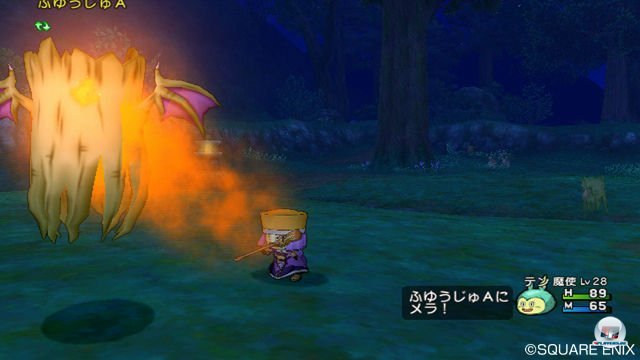 Screenshot - Dragon Quest X Online (Wii) 2300422
