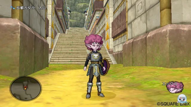 Screenshot - Dragon Quest X Online (Wii) 2280337