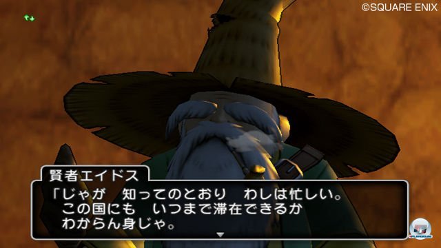 Screenshot - Dragon Quest X Online (Wii) 2335597