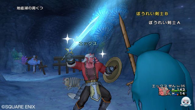 Screenshot - Dragon Quest X Online (Wii) 2289932