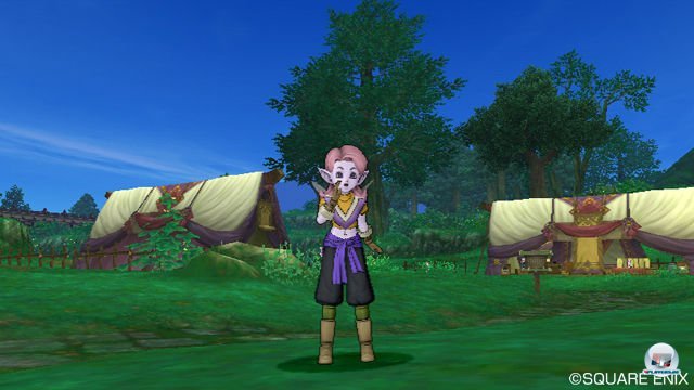 Screenshot - Dragon Quest X Online (Wii) 2277602