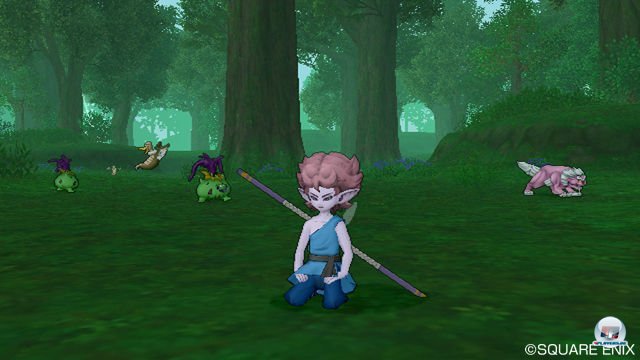 Screenshot - Dragon Quest X Online (Wii) 2277617
