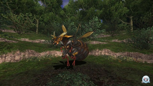 Screenshot - Final Fantasy XI (360) 92447882