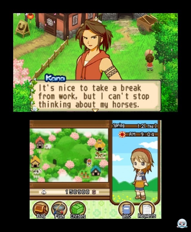 Screenshot - Harvest Moon: The Tale of Two Towns (3DS) 2232158