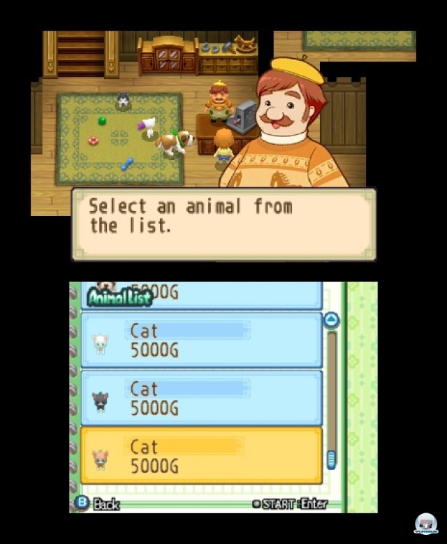 Screenshot - Harvest Moon: The Tale of Two Towns (3DS) 2232248