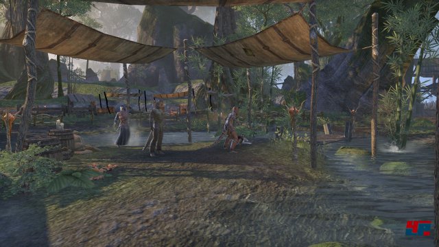 Screenshot - The Elder Scrolls Online (PC) 92480381