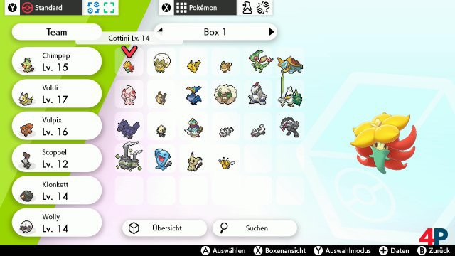 Screenshot - Pokémon Schwert & Schild (Switch)
