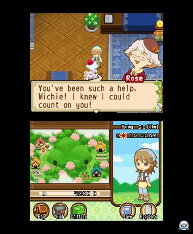 Screenshot - Harvest Moon: The Tale of Two Towns (NDS) 2232054