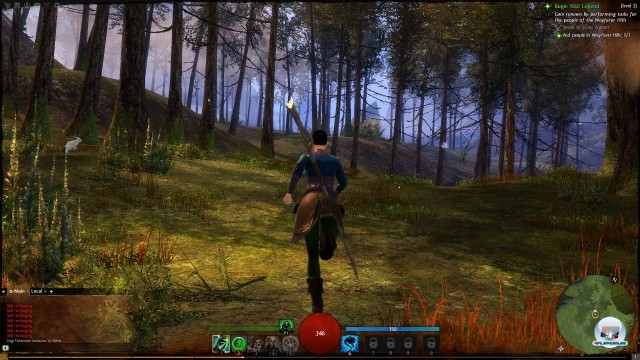 Screenshot - Guild Wars 2 (PC) 2236347