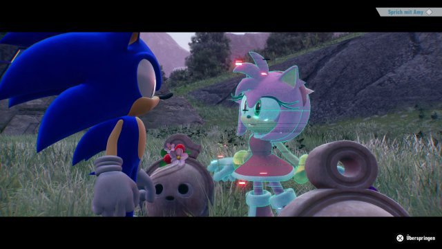 Sonic muss nicht nur die Chaos Emeralds finden, sondern auch Amy & Co. Aus dem Cyberspace befreien.