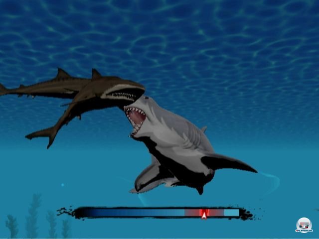 Screenshot - Jaws: Ultimate Predator (Wii) 2281707